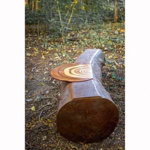 Unique wooden bench